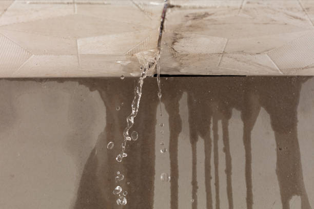 Professional Water Extraction technician working in Evergreen, CO